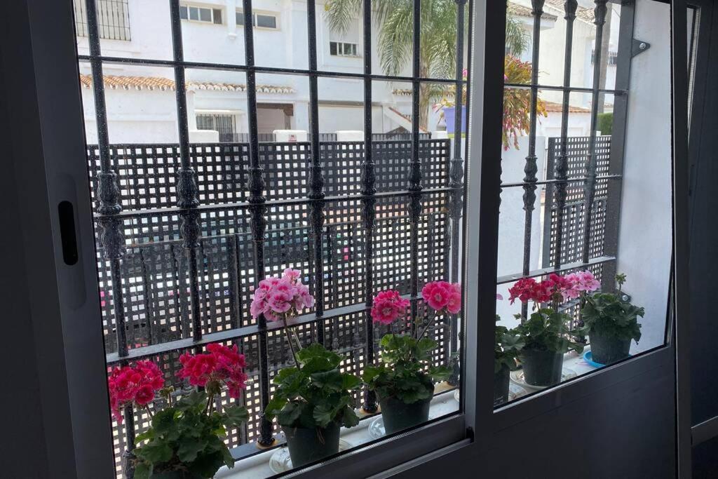 Studio -Patio Andaluz- Марбеля Екстериор снимка