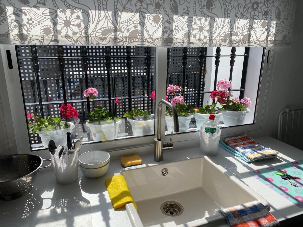 Studio -Patio Andaluz- Марбеля Екстериор снимка